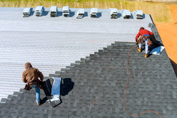 Best Roof Insulation Installation  in Natchitoches, LA